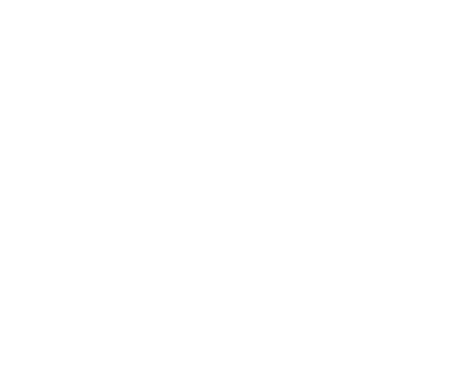 evmt.nl Logo